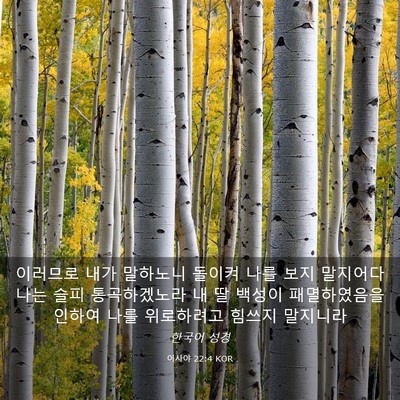 Picture 03 - 이사야 22:4 KOR - 이러므로 내가 말하노니 돌이켜 나를 - Bible Verse Picture