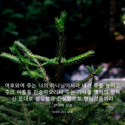 Picture 03 - 이사야 25:1 KOR - 여호와여 주는 나의 하나님이시라 - Bible Verse Picture