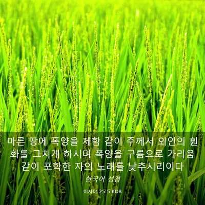 Picture 03 - 이사야 25:5 KOR - 마른 땅에 폭양을 제함 같이 주께서 - Bible Verse Picture