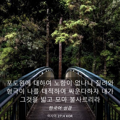 Picture 03 - 이사야 27:4 KOR - 포도원에 대하여 노함이 없나니 - Bible Verse Picture