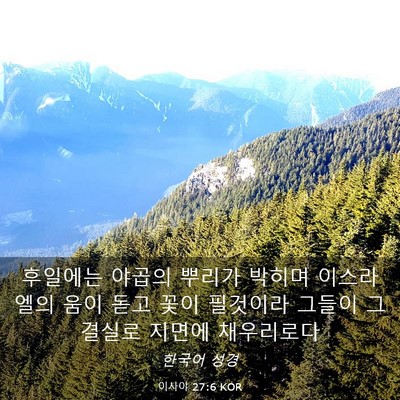Picture 03 - 이사야 27:6 KOR - 후일에는 야곱의 뿌리가 박히며 - Bible Verse Picture