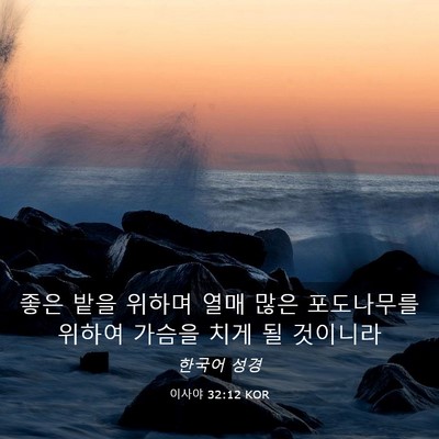 Picture 03 - 이사야 32:12 KOR - 좋은 밭을 위하며 열매 많은 - Bible Verse Picture