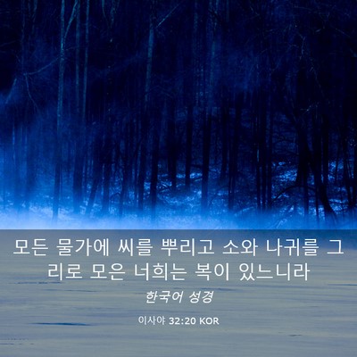 Picture 03 - 이사야 32:20 KOR - 모든 물가에 씨를 뿌리고 소와 - Bible Verse Picture