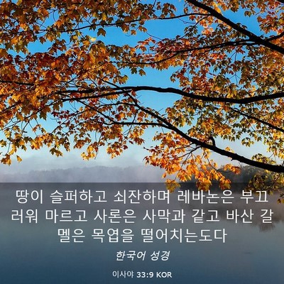 Picture 03 - 이사야 33:9 KOR - 땅이 슬퍼하고 쇠잔하며 레바논은 - Bible Verse Picture