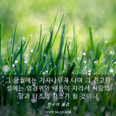 Picture 03 - 이사야 34:13 KOR - 그 궁궐에는 가시나무가 나며 그 - Bible Verse Picture