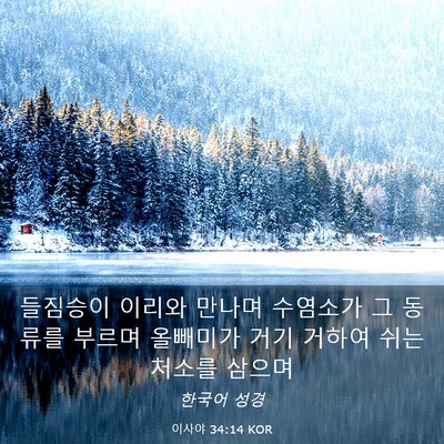 Picture 03 - 이사야 34:14 KOR - 들짐승이 이리와 만나며 수염소가 그 - Bible Verse Picture