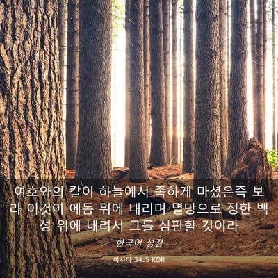Picture 03 - 이사야 34:5 KOR - 여호와의 칼이 하늘에서 족하게 - Bible Verse Picture