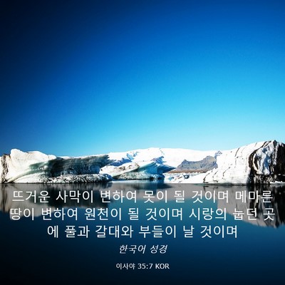 Picture 03 - 이사야 35:7 KOR - 뜨거운 사막이 변하여 못이 될 - Bible Verse Picture