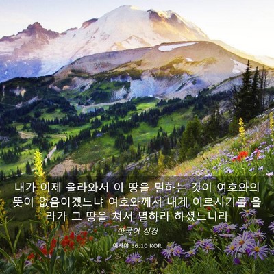 Picture 03 - 이사야 36:10 KOR - 내가 이제 올라와서 이 땅을 멸하는 - Bible Verse Picture