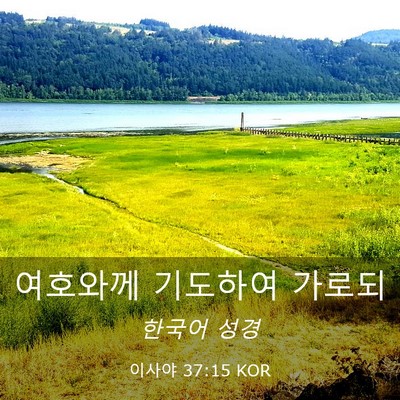 Picture 03 - 이사야 37:15 KOR - 여호와께 기도하여 - Bible Verse Picture
