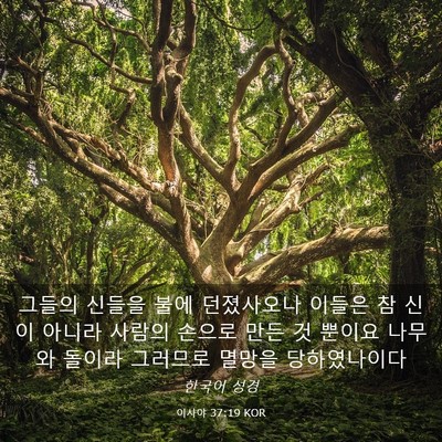 Picture 03 - 이사야 37:19 KOR - 그들의 신들을 불에 던졌사오나 - Bible Verse Picture