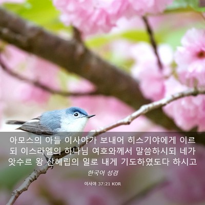 Picture 03 - 이사야 37:21 KOR - 아모스의 아들 이사야가 보내어 - Bible Verse Picture