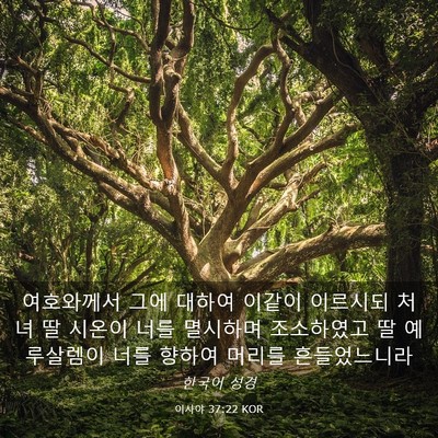 Picture 03 - 이사야 37:22 KOR - 여호와께서 그에 대하여 이같이 - Bible Verse Picture