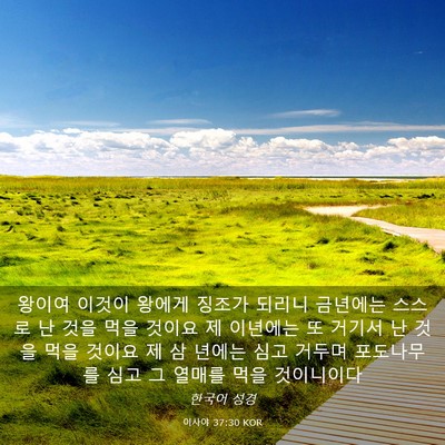 Picture 03 - 이사야 37:30 KOR - 왕이여 이것이 왕에게 징조가 되리니 - Bible Verse Picture