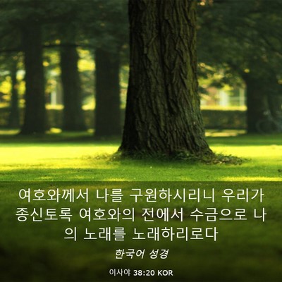 Picture 03 - 이사야 38:20 KOR - 여호와께서 나를 구원하시리니 - Bible Verse Picture
