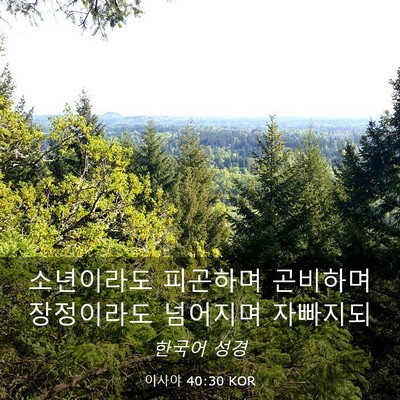 Picture 03 - 이사야 40:30 KOR - 소년이라도 피곤하며 곤비하며 - Bible Verse Picture