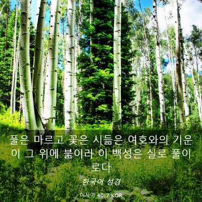 Picture 03 - 이사야 40:7 KOR - 풀은 마르고 꽃은 시듦은 여호와의 - Bible Verse Picture