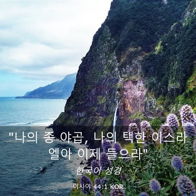 Picture 03 - 이사야 44:1 KOR - 