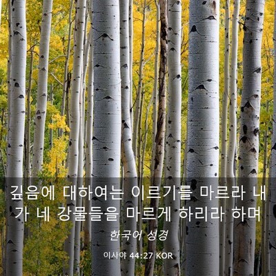 Picture 03 - 이사야 44:27 KOR - 깊음에 대하여는 이르기를 마르라 - Bible Verse Picture