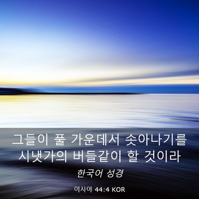 Picture 03 - 이사야 44:4 KOR - 그들이 풀 가운데서 솟아나기를 - Bible Verse Picture