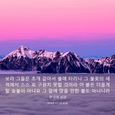 Picture 03 - 이사야 47:14 KOR - 보라 그들은 초개 같아서 불에 - Bible Verse Picture
