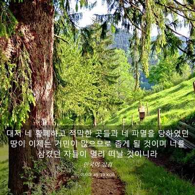 Picture 03 - 이사야 49:19 KOR - 대저 네 황폐하고 적막한 곳들과 네 - Bible Verse Picture