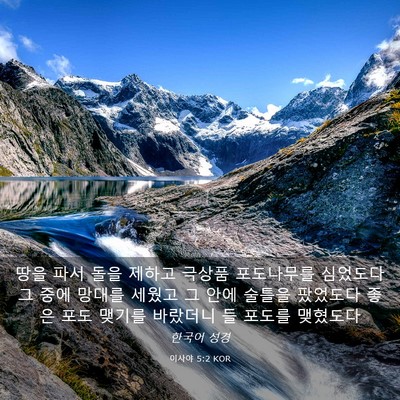Picture 03 - 이사야 5:2 KOR - 땅을 파서 돌을 제하고 극상품 - Bible Verse Picture