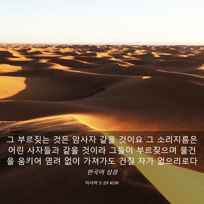 Picture 03 - 이사야 5:29 KOR - 그 부르짖는 것은 암사자 같을 - Bible Verse Picture