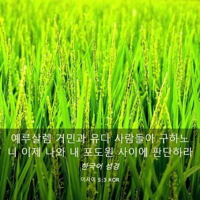 Picture 03 - 이사야 5:3 KOR - 예루살렘 거민과 유다 사람들아 - Bible Verse Picture