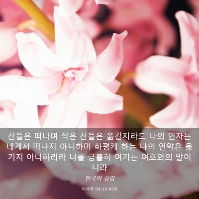 Picture 03 - 이사야 54:10 KOR - 산들은 떠나며 작은 산들은 - Bible Verse Picture