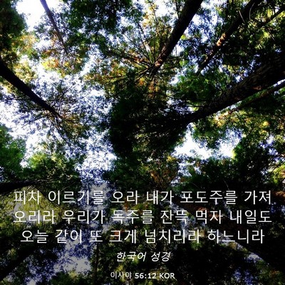 Picture 03 - 이사야 56:12 KOR - 피차 이르기를 오라 내가 포도주를 - Bible Verse Picture