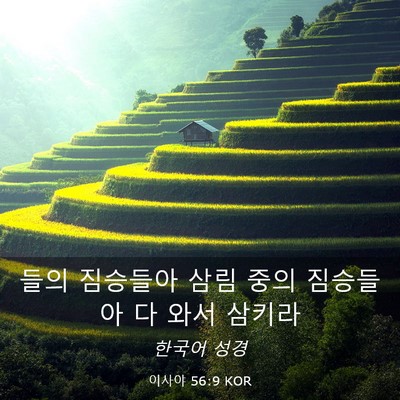 Picture 03 - 이사야 56:9 KOR - 들의 짐승들아 삼림 중의 짐승들아 - Bible Verse Picture