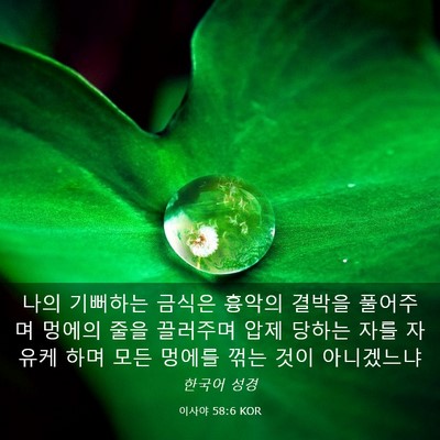 Picture 03 - 이사야 58:6 KOR - 나의 기뻐하는 금식은 흉악의 결박을 - Bible Verse Picture