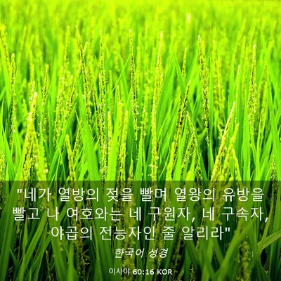 Picture 03 - 이사야 60:16 KOR - 