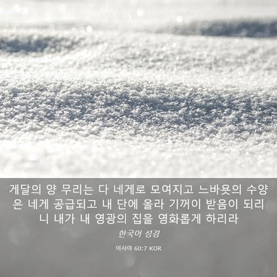 Picture 03 - 이사야 60:7 KOR - 게달의 양 무리는 다 네게로 - Bible Verse Picture
