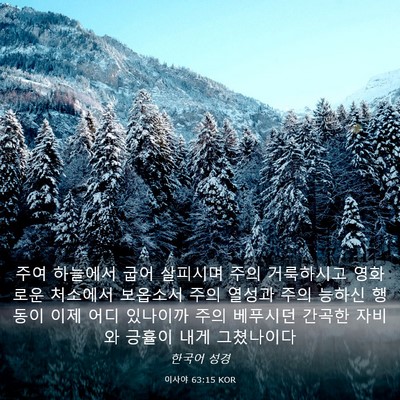 Picture 03 - 이사야 63:15 KOR - 주여 하늘에서 굽어 살피시며 주의 - Bible Verse Picture