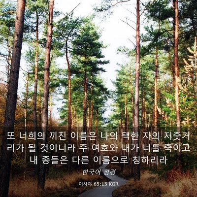 Picture 03 - 이사야 65:15 KOR - 또 너희의 끼친 이름은 나의 택한 - Bible Verse Picture