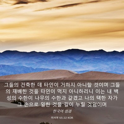 Picture 03 - 이사야 65:22 KOR - 그들의 건축한 데 타인이 거하지 - Bible Verse Picture