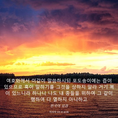 Picture 03 - 이사야 65:8 KOR - 여호와께서 이같이 말씀하시되 - Bible Verse Picture