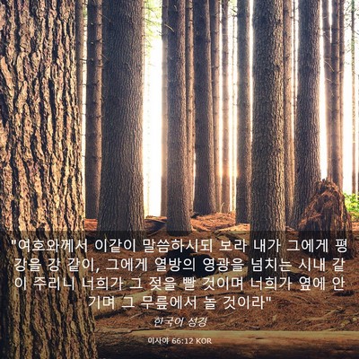 Picture 03 - 이사야 66:12 KOR - 