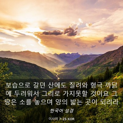 Picture 03 - 이사야 7:25 KOR - 보습으로 갈던 산에도 질려와 형극 - Bible Verse Picture