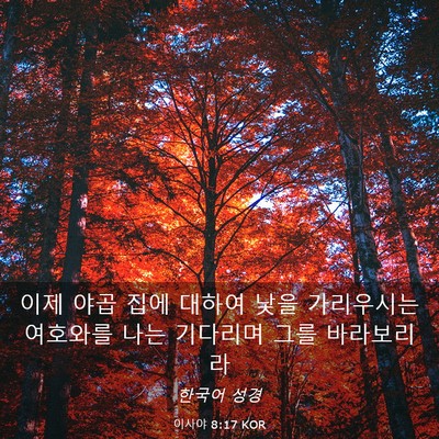 Picture 03 - 이사야 8:17 KOR - 이제 야곱 집에 대하여 낯을 - Bible Verse Picture