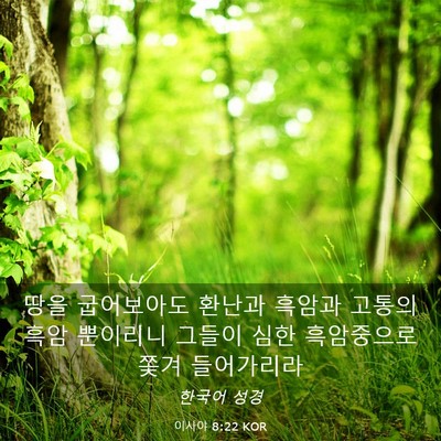 Picture 03 - 이사야 8:22 KOR - 땅을 굽어보아도 환난과 흑암과 - Bible Verse Picture
