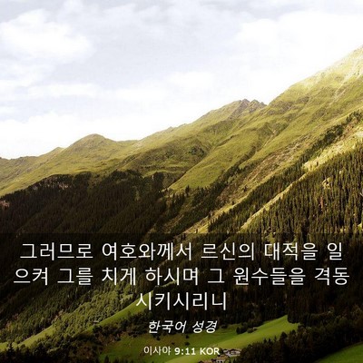 Picture 03 - 이사야 9:11 KOR - 그러므로 여호와께서 르신의 대적을 - Bible Verse Picture