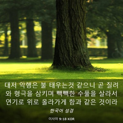 Picture 03 - 이사야 9:18 KOR - 대저 악행은 불 태우는것 같으니 곧 - Bible Verse Picture