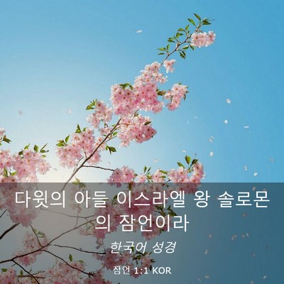 Picture 03 - 잠언 1:1 KOR - 다윗의 아들 이스라엘 왕 솔로몬의 - Bible Verse Picture