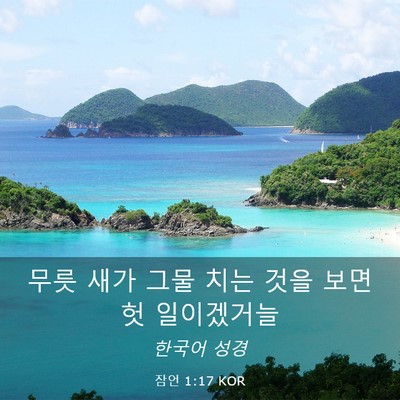 Picture 03 - 잠언 1:17 KOR - 무릇 새가 그물 치는 것을 보면 헛 - Bible Verse Picture