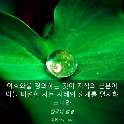 Picture 03 - 잠언 1:7 KOR - 여호와를 경외하는 것이 지식의 - Bible Verse Picture