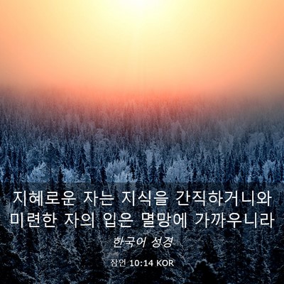 Picture 03 - 잠언 10:14 KOR - 지혜로운 자는 지식을 간직하거니와 - Bible Verse Picture