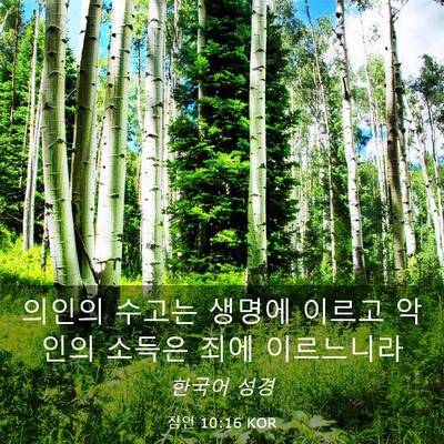 Picture 03 - 잠언 10:16 KOR - 의인의 수고는 생명에 이르고 악인의 - Bible Verse Picture